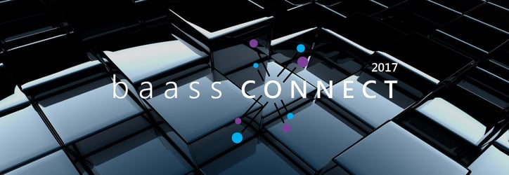 BASS Connect Tour 2017.jpg