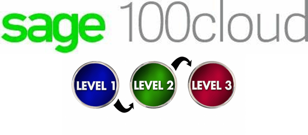 Sage 100 Level 3 Credit Card Processing 1